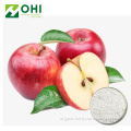 Apple Extract Polyphenols Powder 50~80% UV-VIS